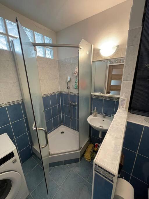 Apartment 1-izbovy *